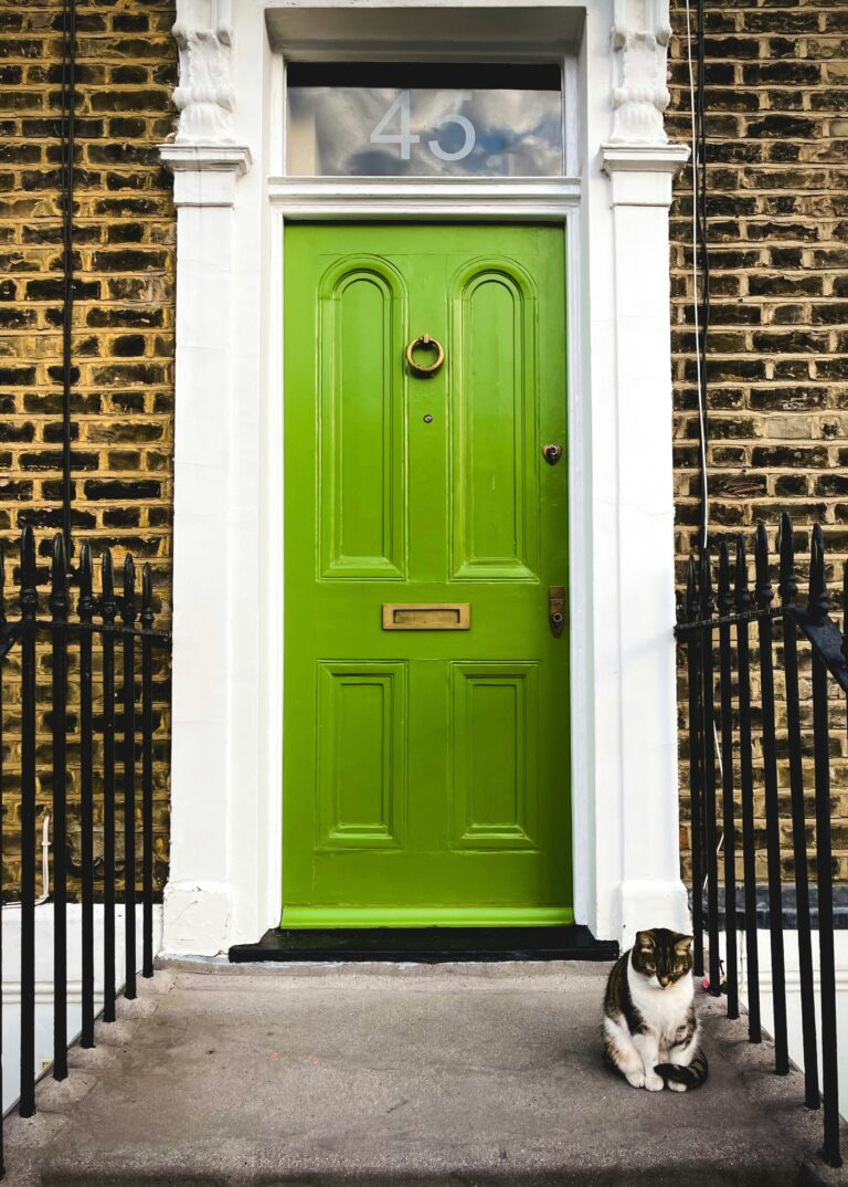 Low Threshold Door
